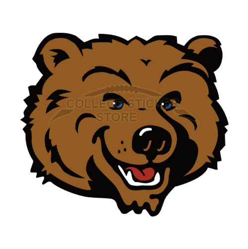 Diy UCLA Bruins Iron-on Transfers (Wall Stickers)NO.6641